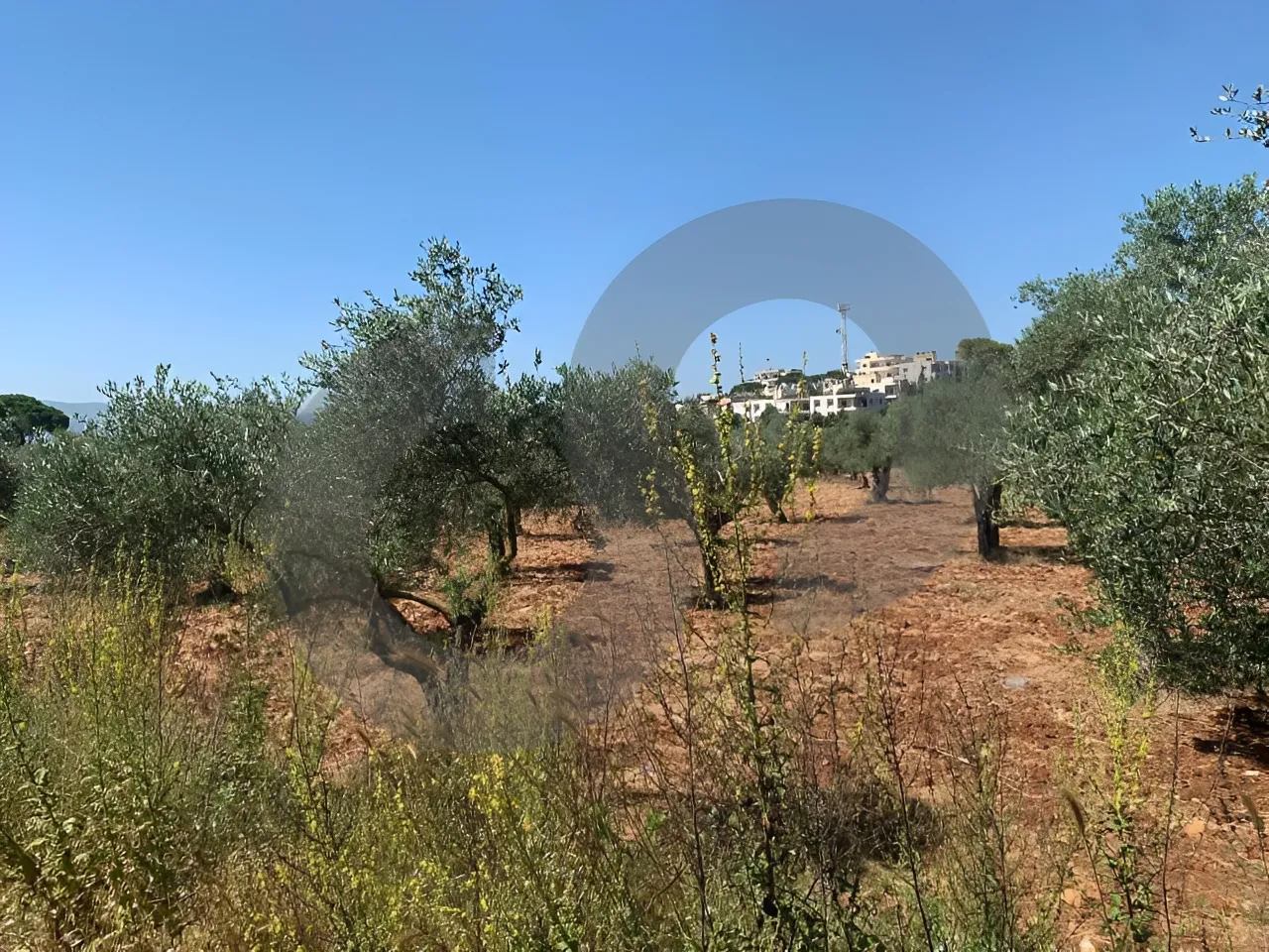 Land for Sale in Koura