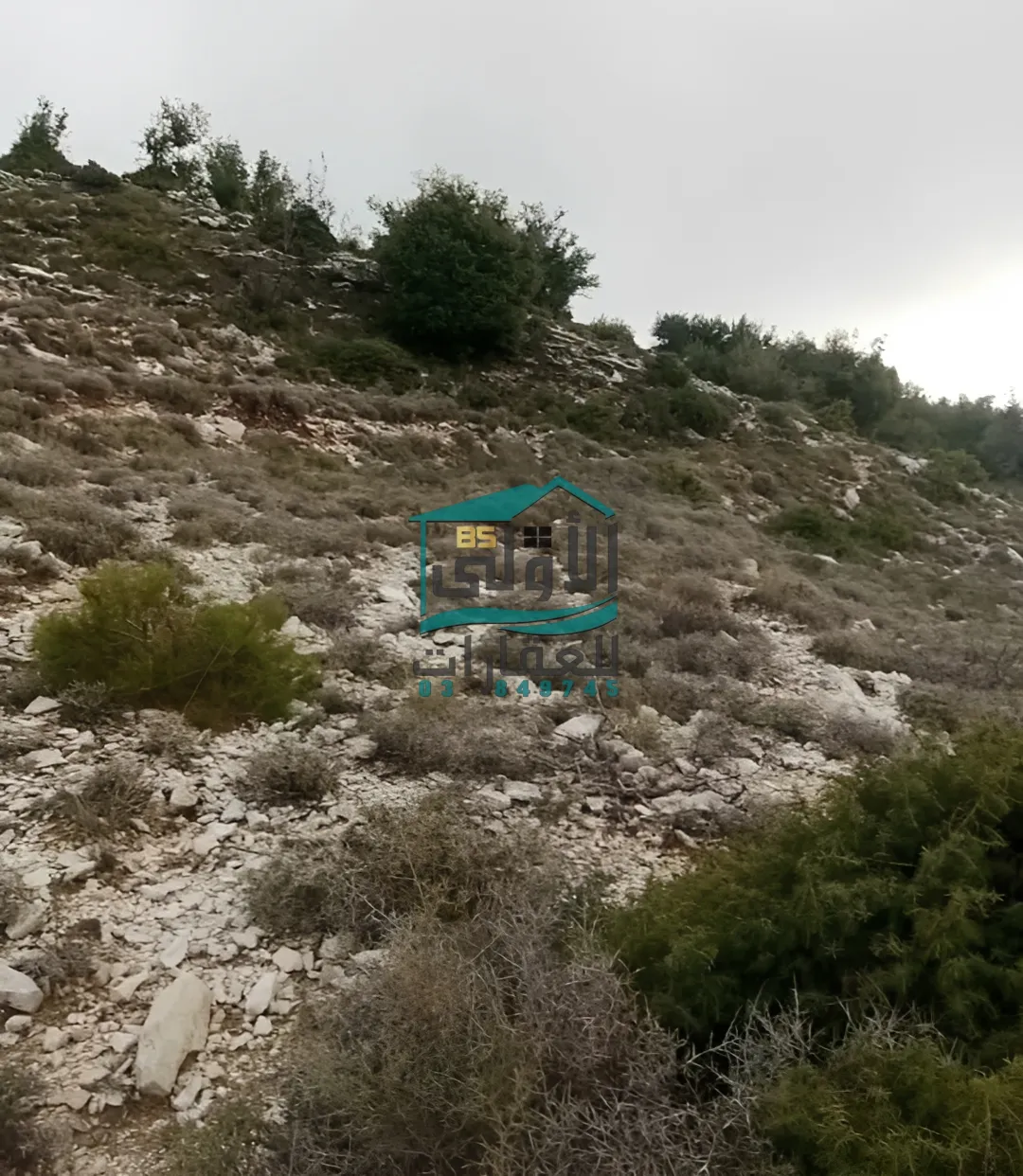 Land in بيت لاهيا، راشيَا، lebanon
