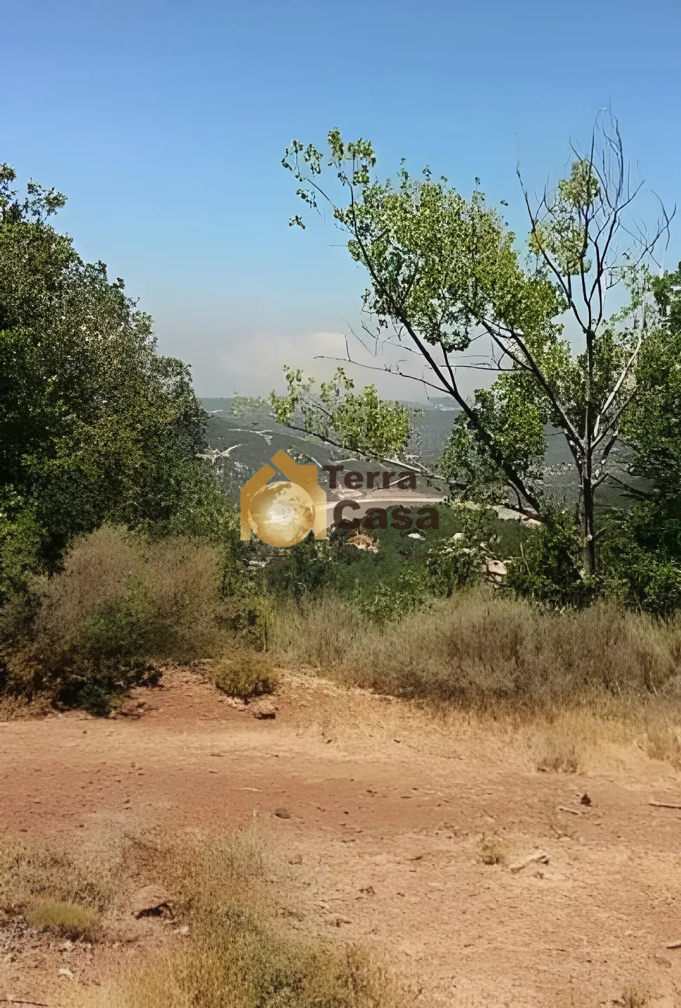 Land for sale in Baskinta