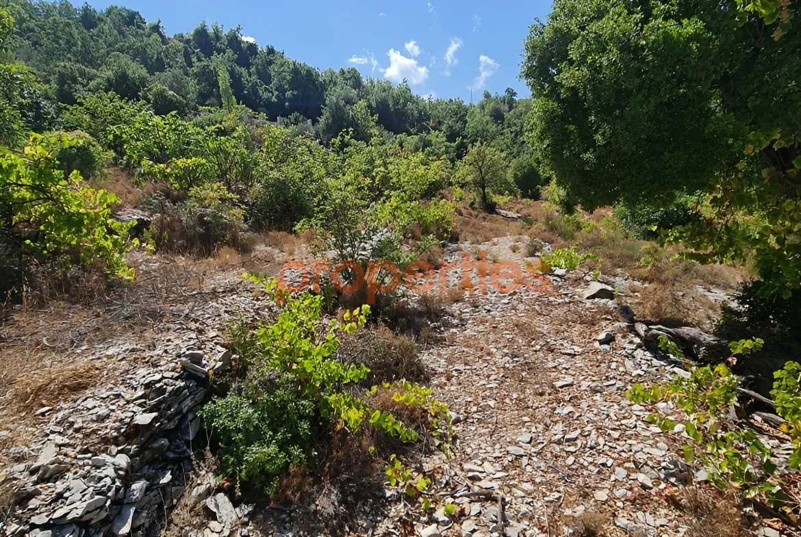 Land for Sale in Lehfed