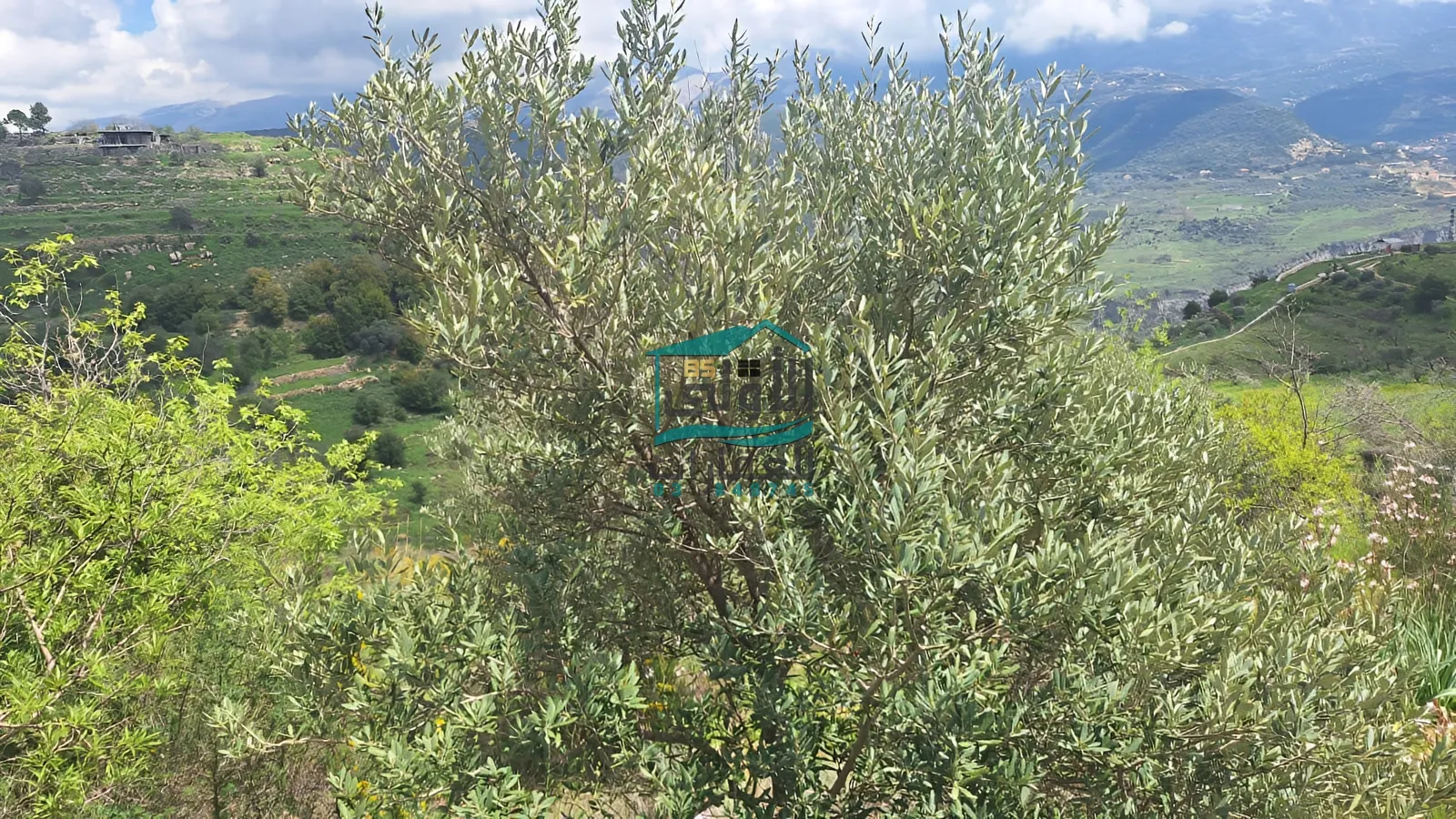 Land for sale in مزرعة الشوف، lebanon