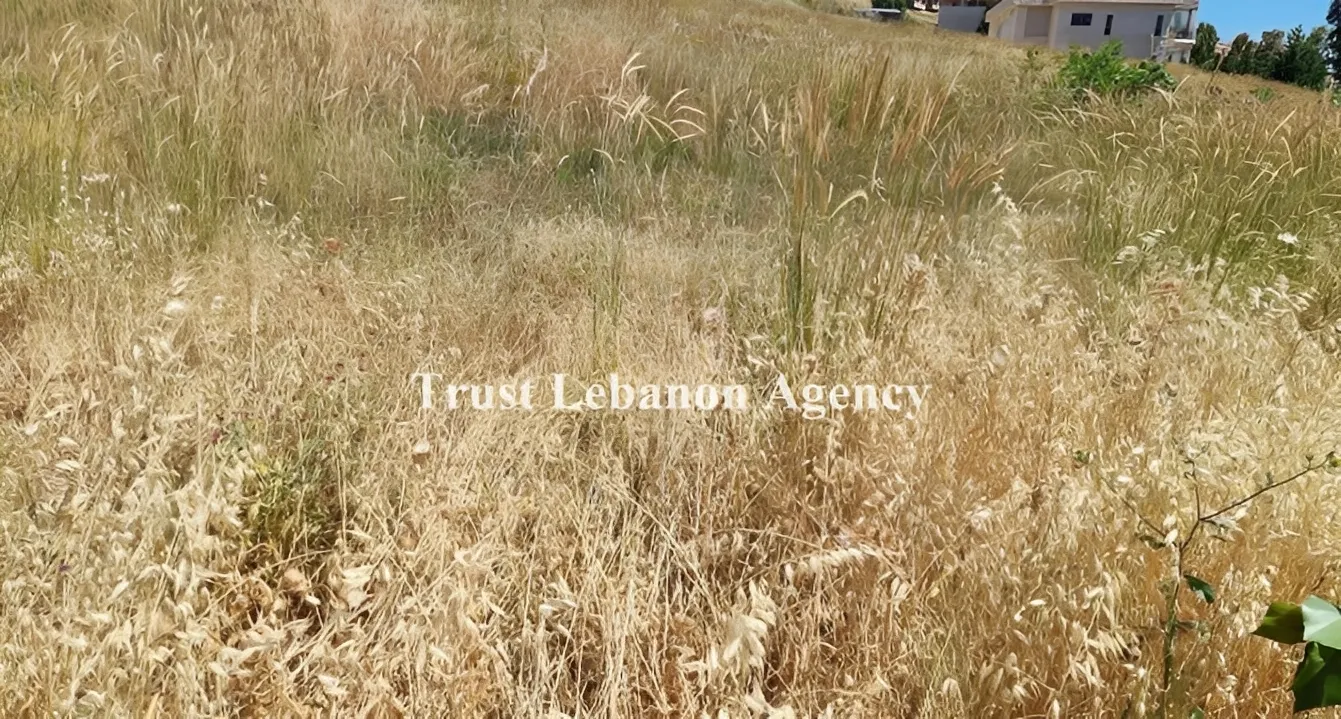Land for Sale in Chanay