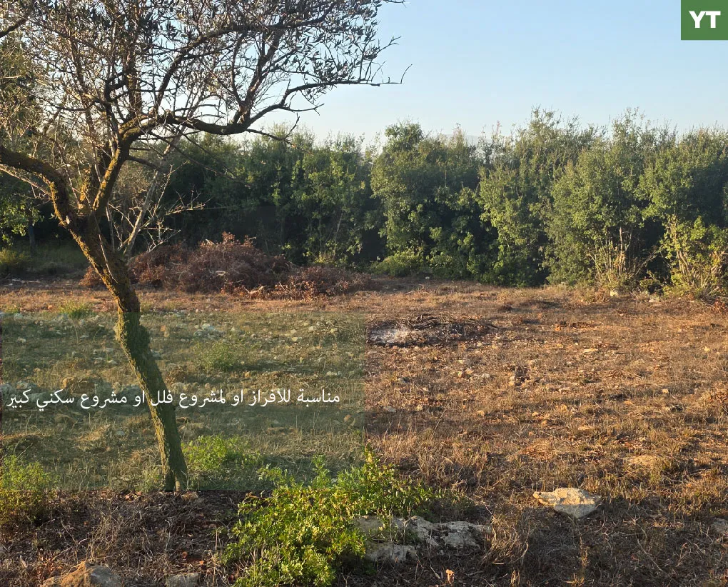 Land for Sale in Koura