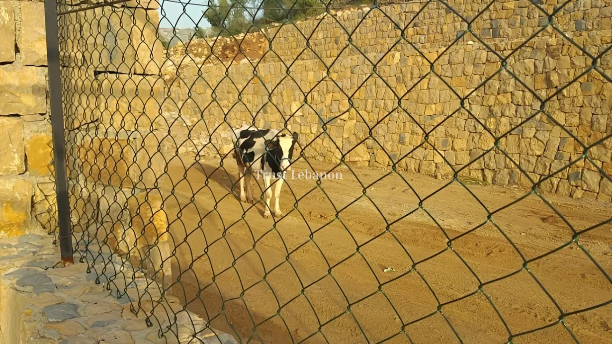 Residential Land for sale in Bteghrine, Lebanon