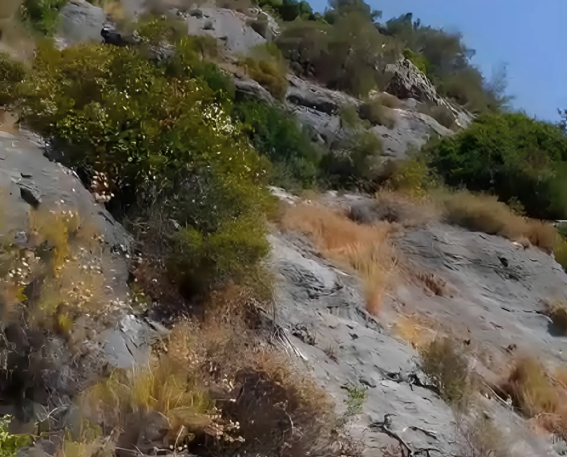 Land for Sale in Zgharta