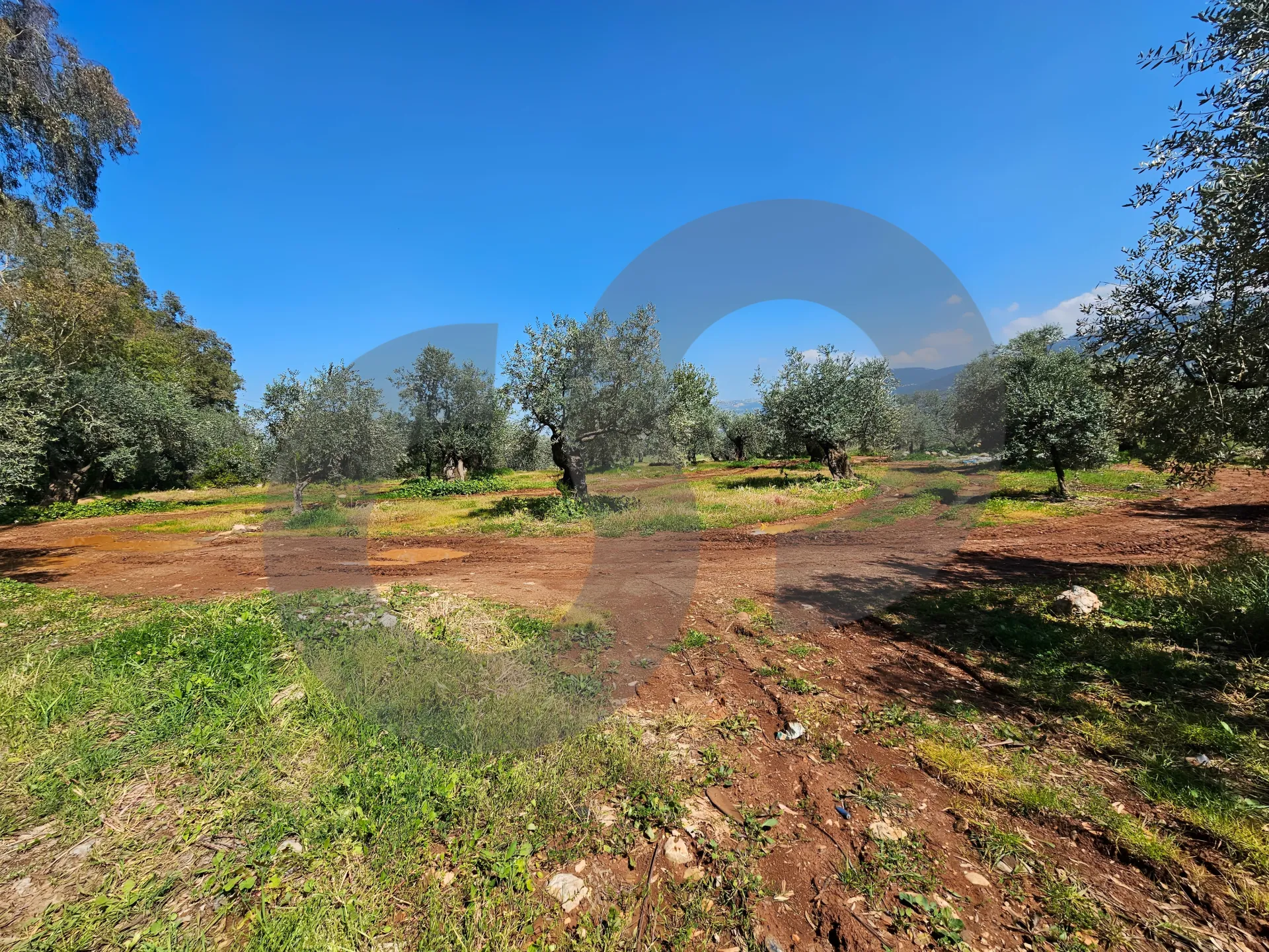 Land for Sale in Zgharta