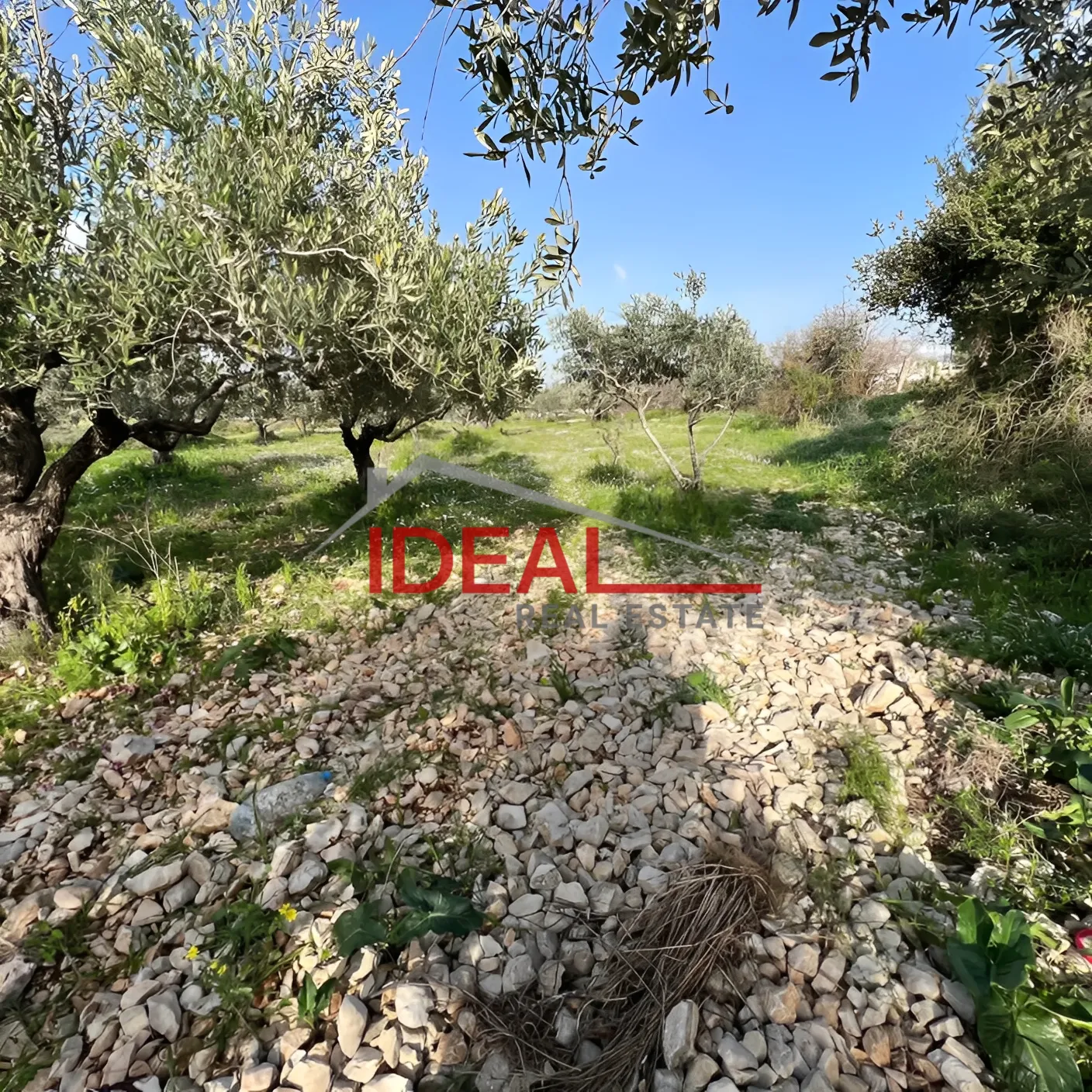 Land for Sale in Rachkida, Lebanon