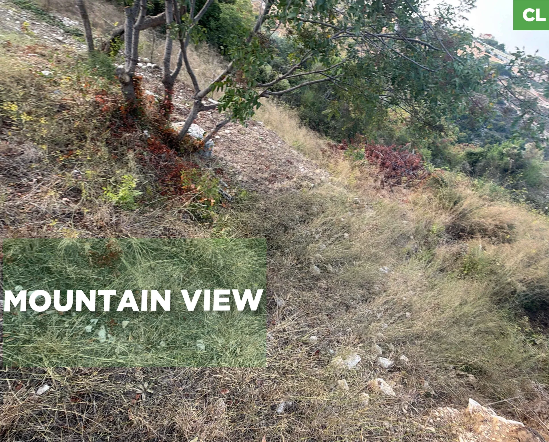 Land for Sale in Byblos