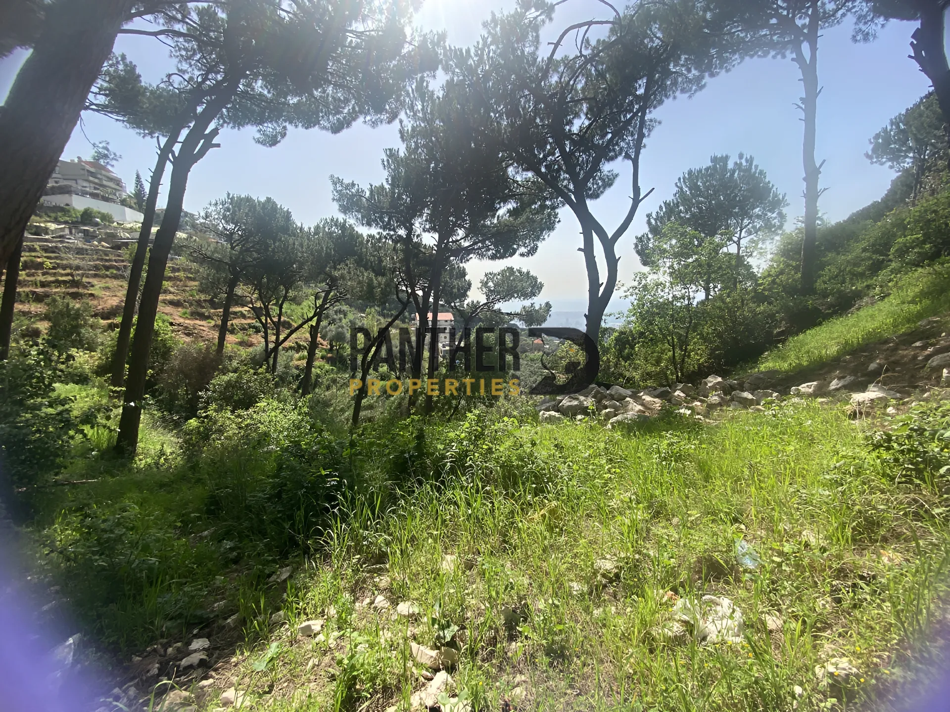 Land for sale in Ain saadeh, lebanon