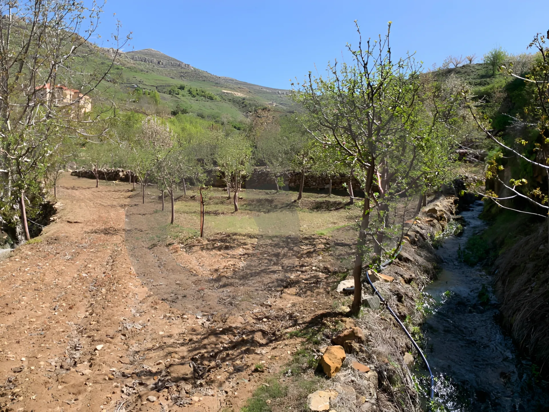 Land for Sale in Tannourine El Tahta