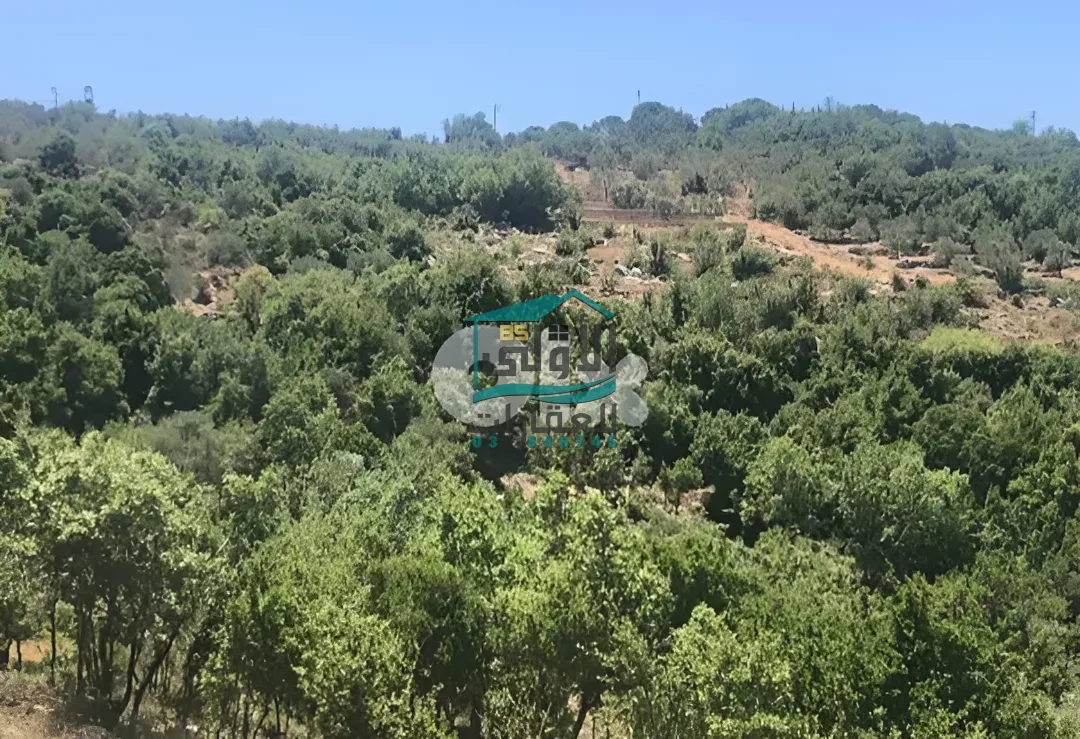 Land in حاصبيّا، lebanon