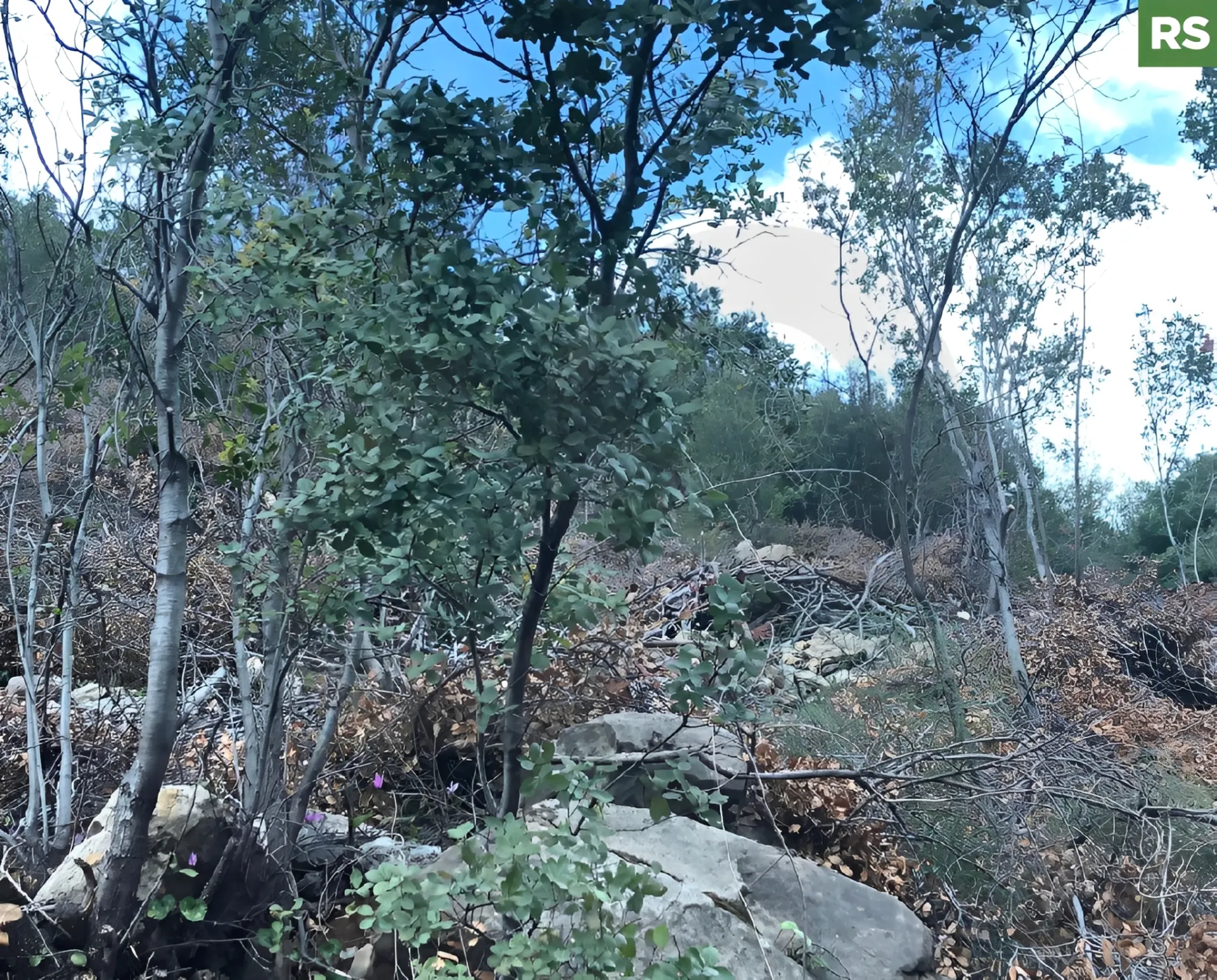 Land for Sale in Other