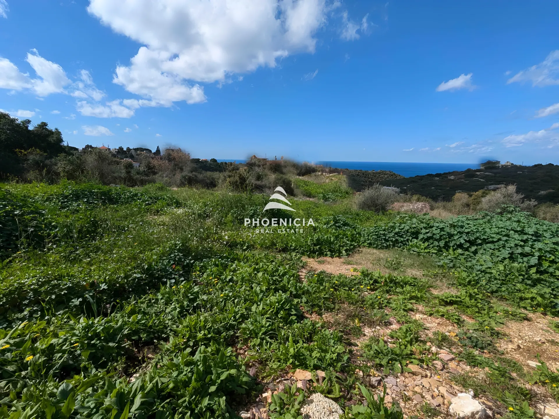 Land for Sale in Chikhane
