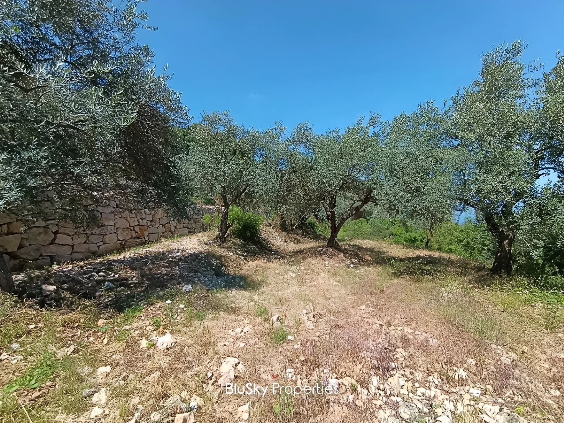 Land for sale in Fghal, lebanon