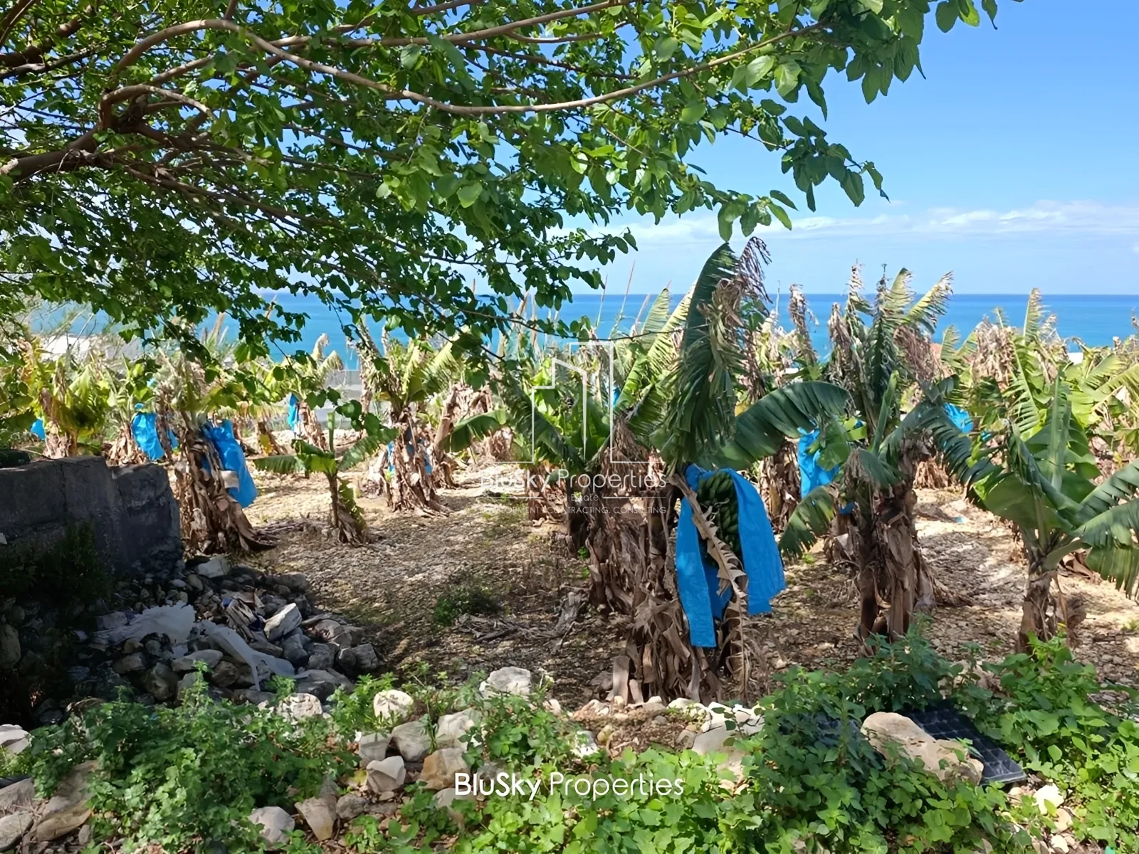 Land for Sale in Halat