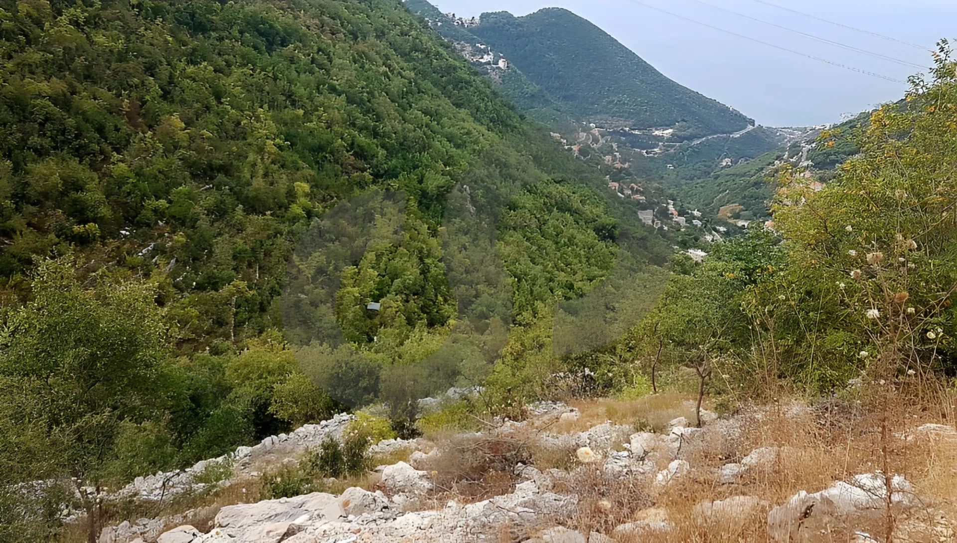 Land for Sale in Delbta