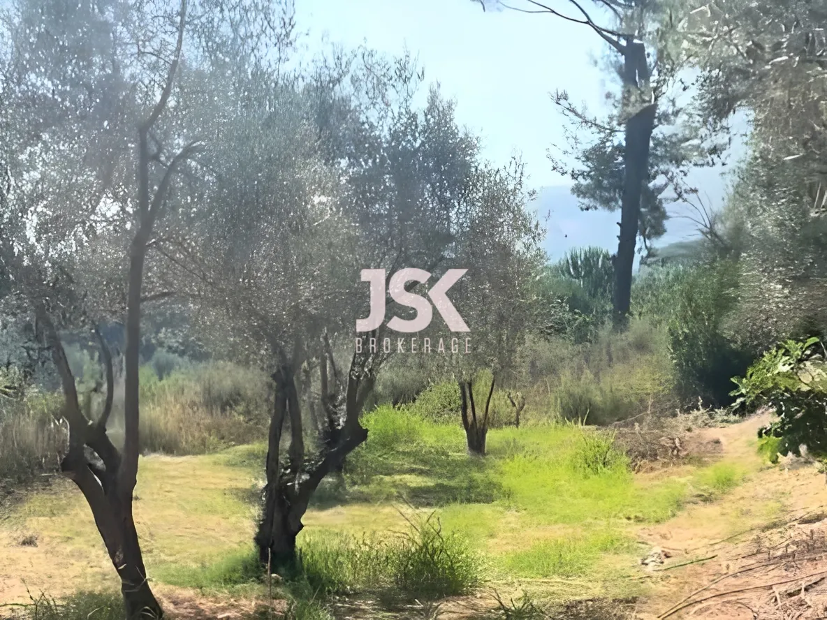 Land for Sale in Aley