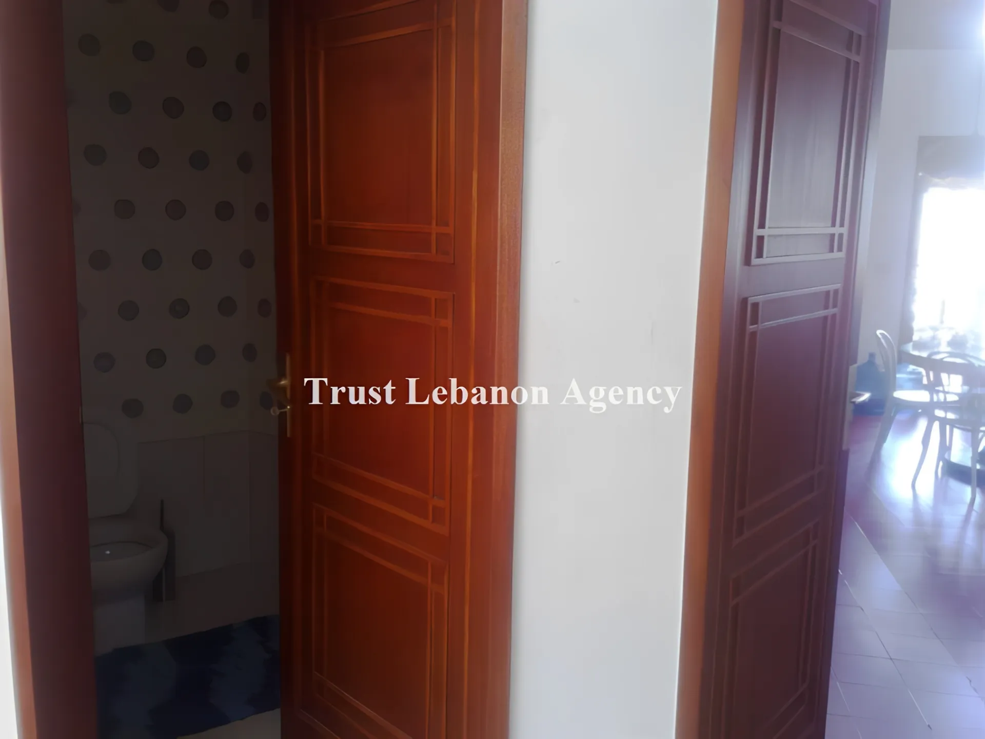 Villa for Sale in Metn Ain saade Lebanon