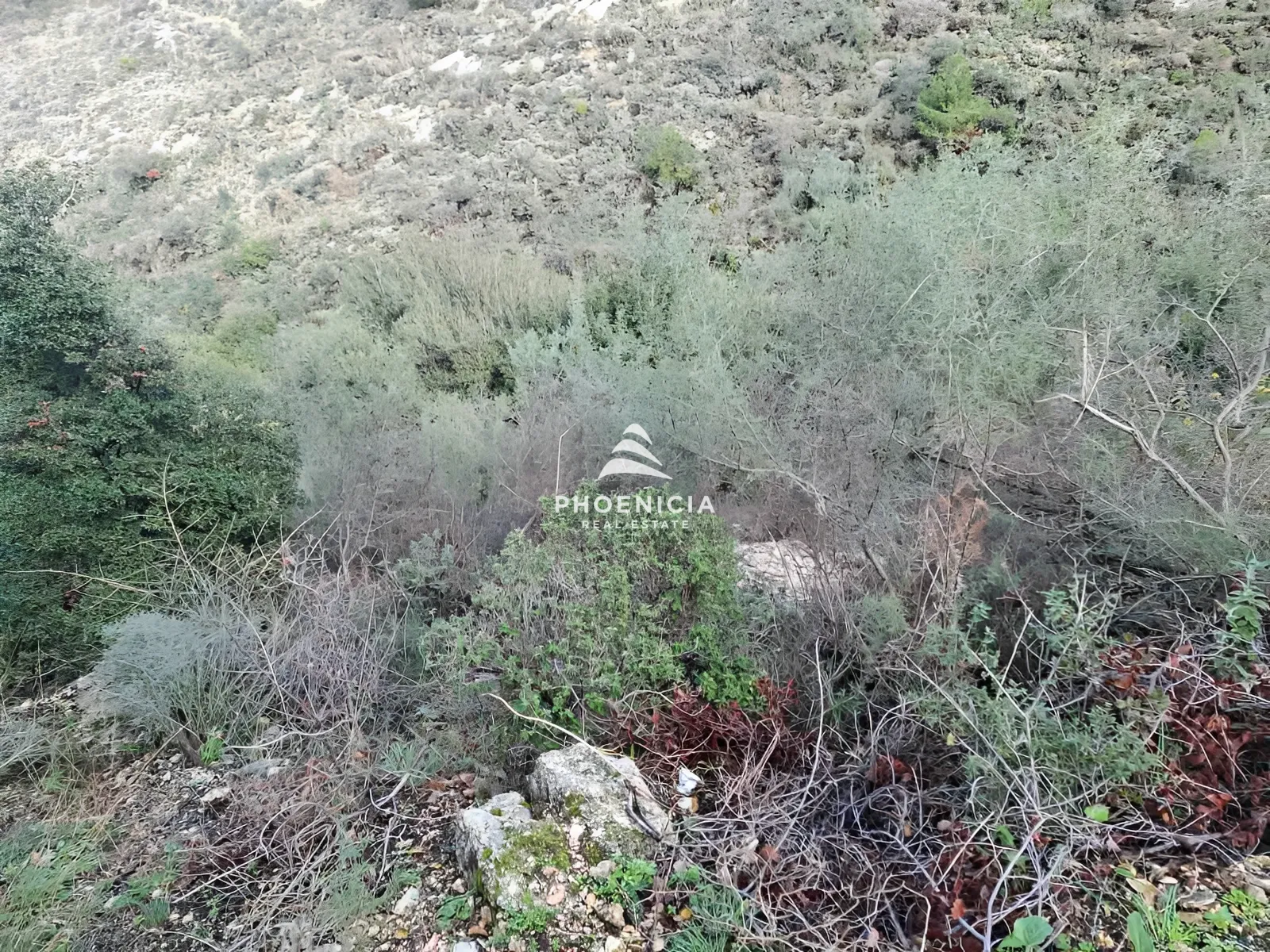 Land for Sale in Blat