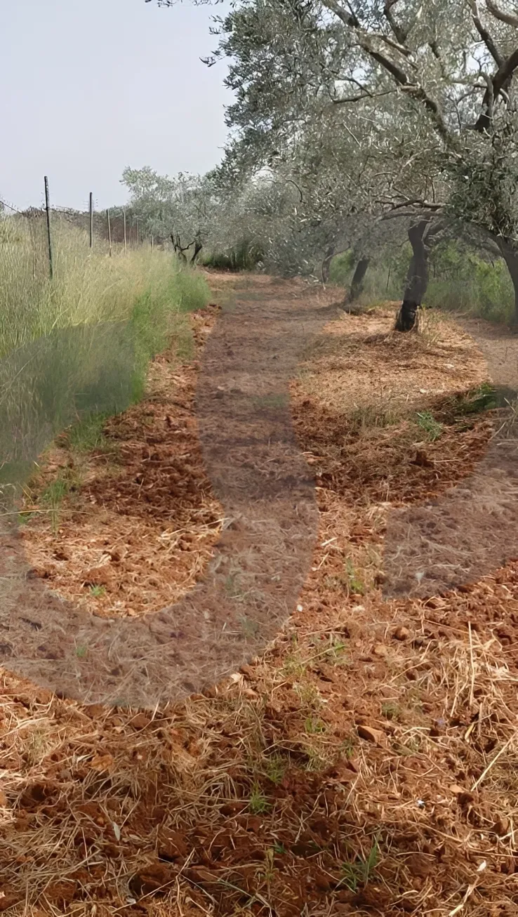 Land for Sale in Koura