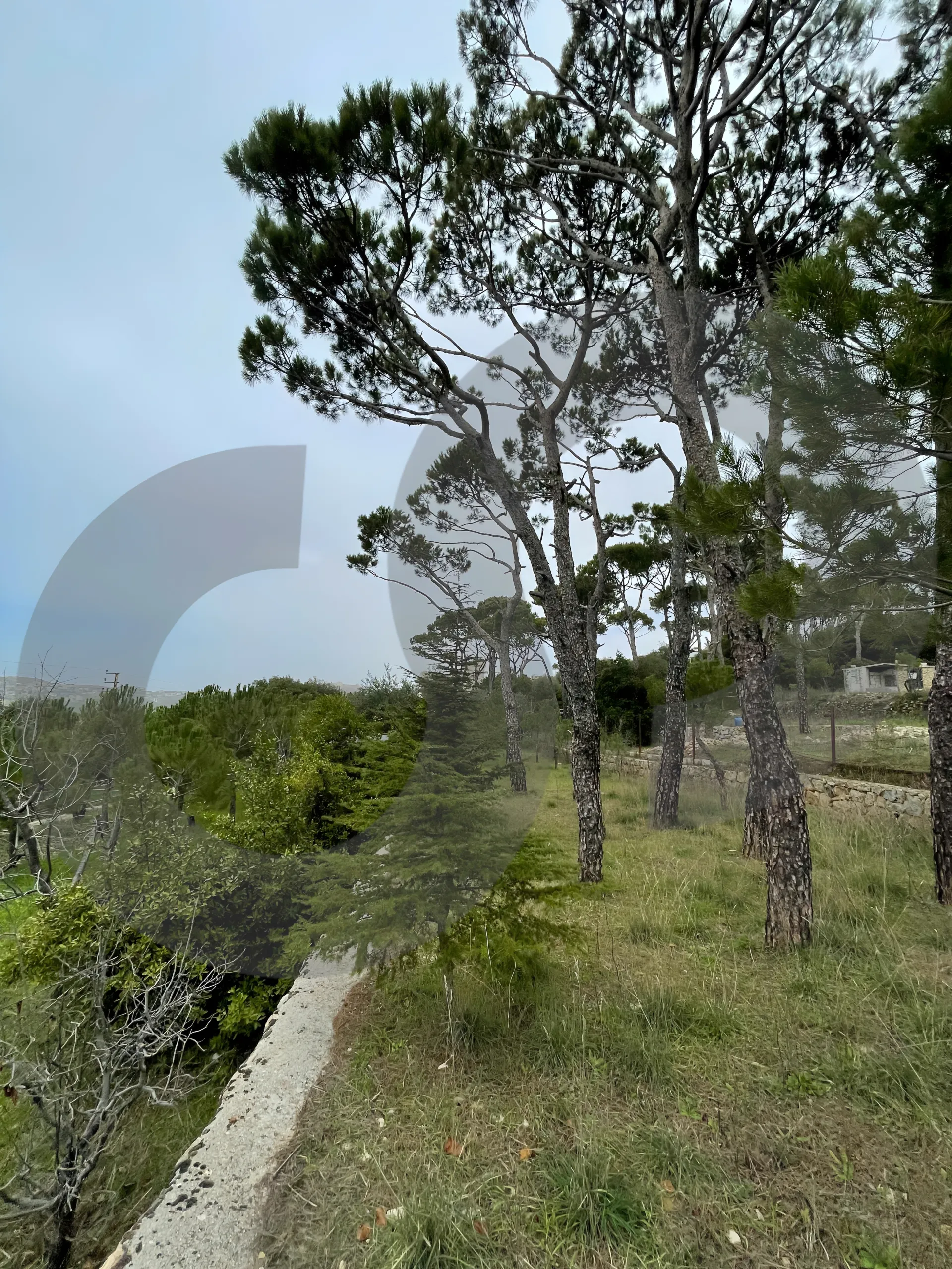 Villa for Sale in Saoufar