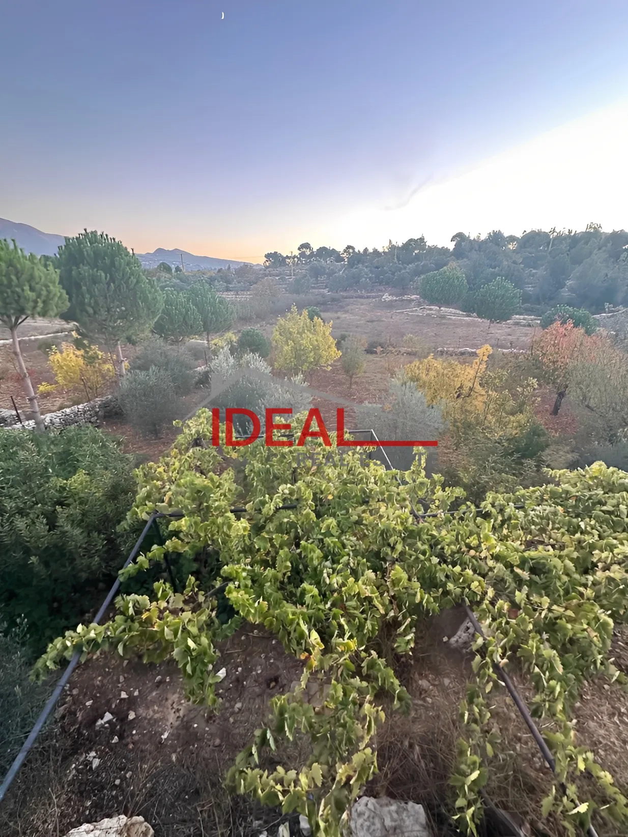 Land for Sale in Baadaran, Lebanon
