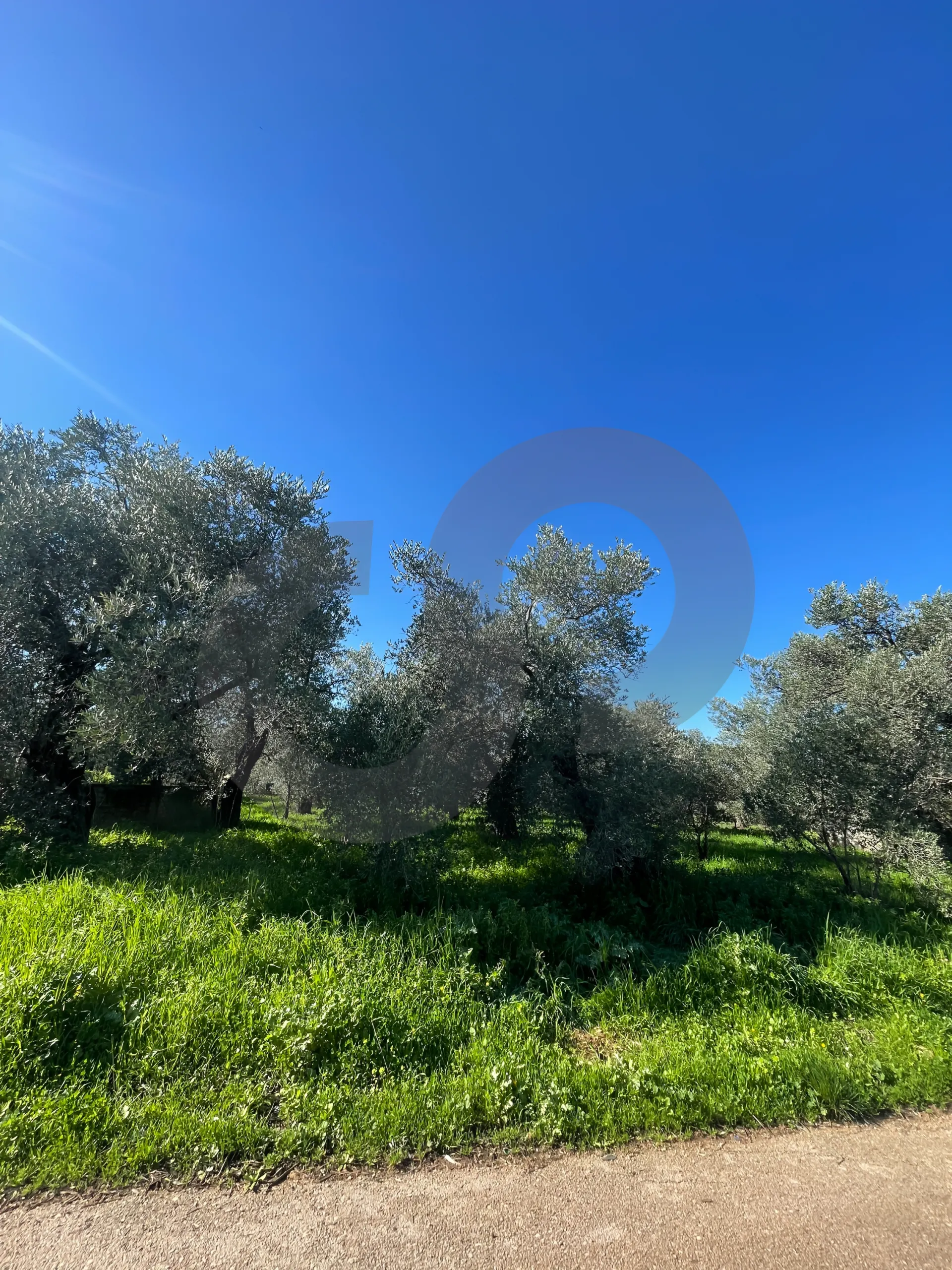 Land for Sale in Zgharta