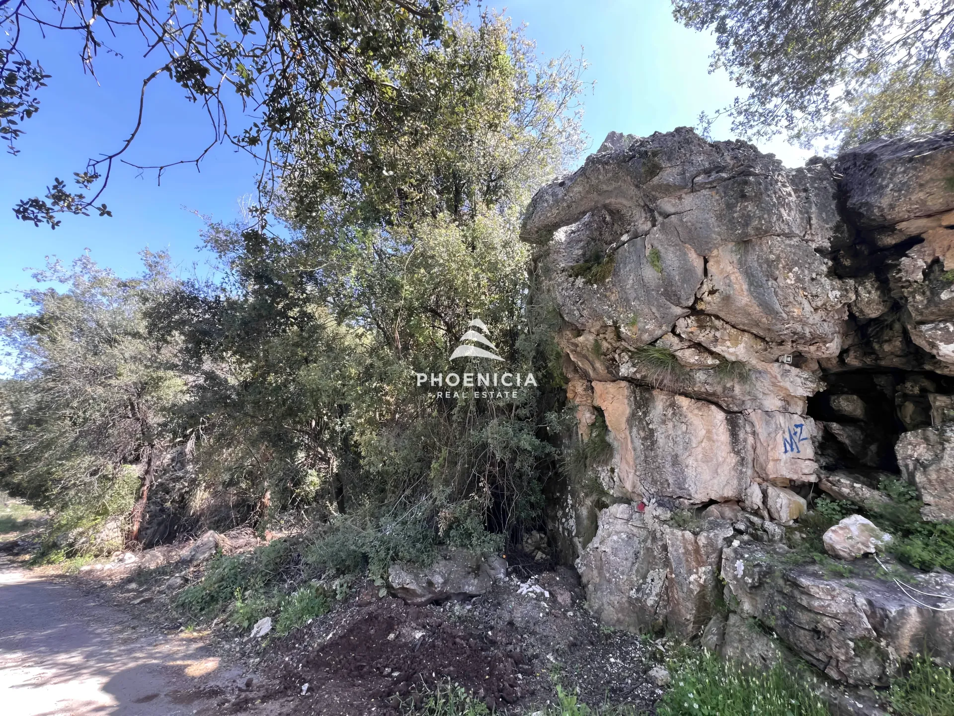 Land for Sale in Lehfed
