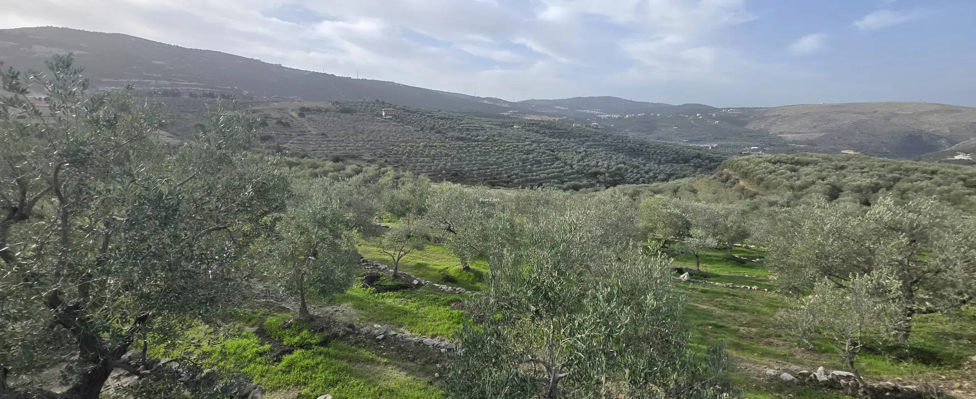 Land for sale in Bziza