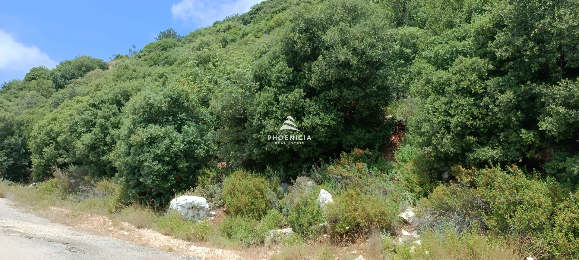 Land for Sale in Blat