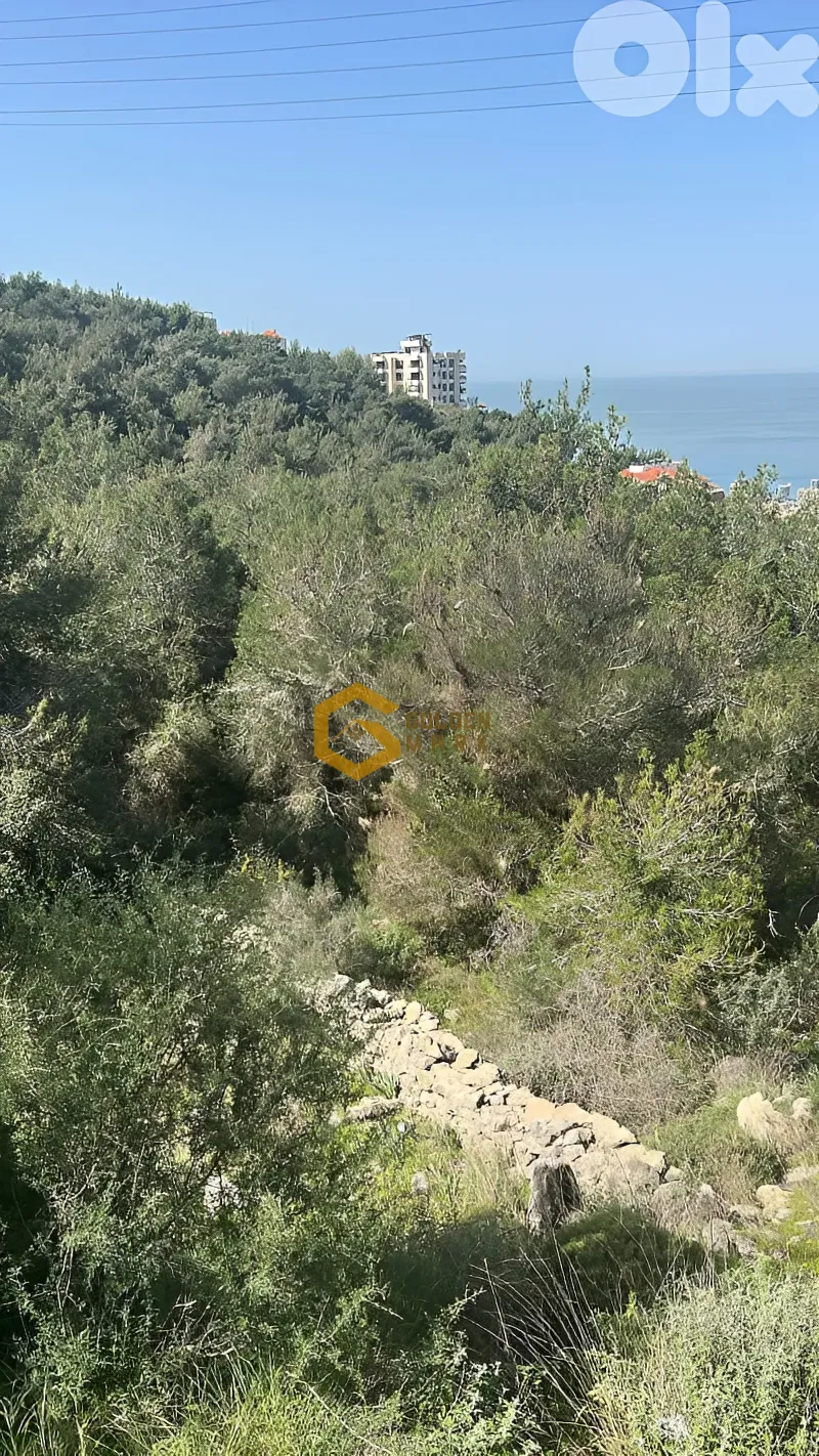 Land for Sale in Bsalim