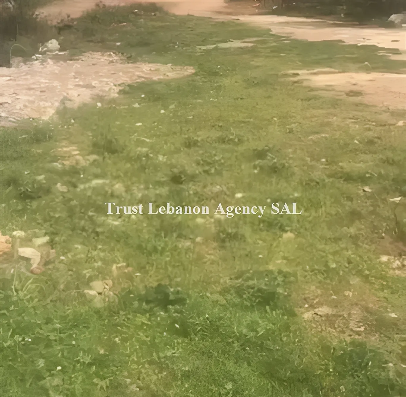 Land for Sale in Metn Bteghrin Lebanon