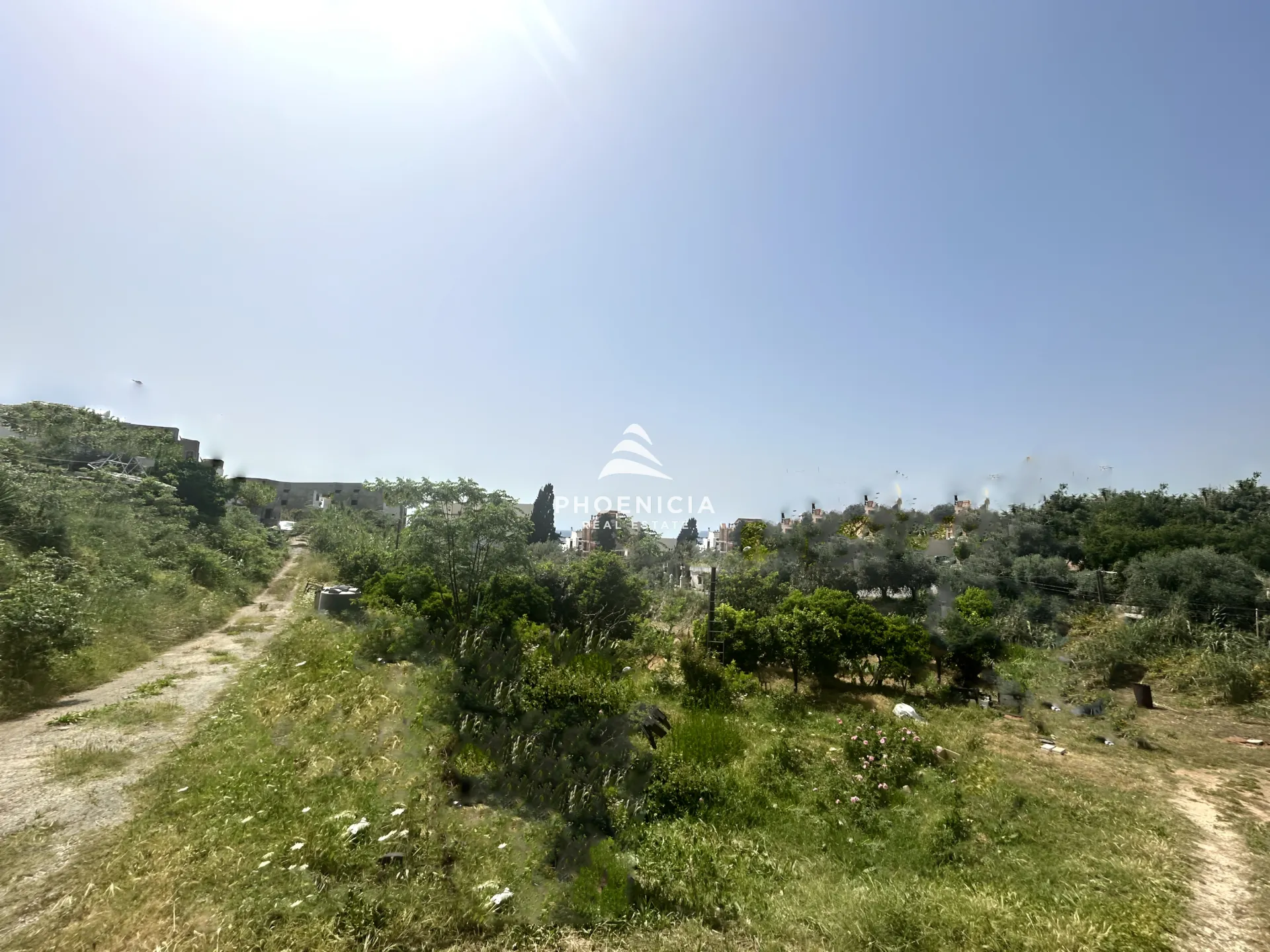 Land for Sale in Byblos
