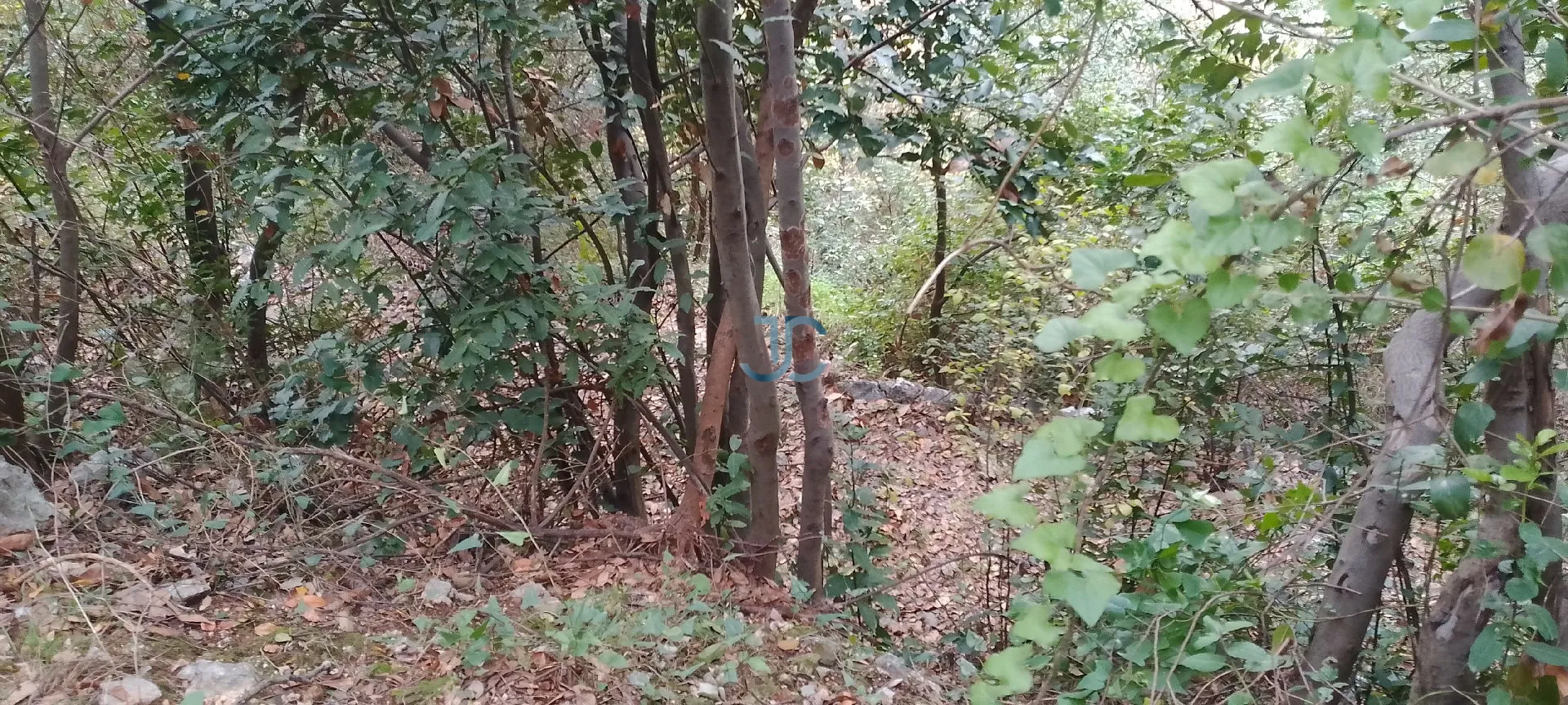 Land for sale in Sahel alma, lebanon