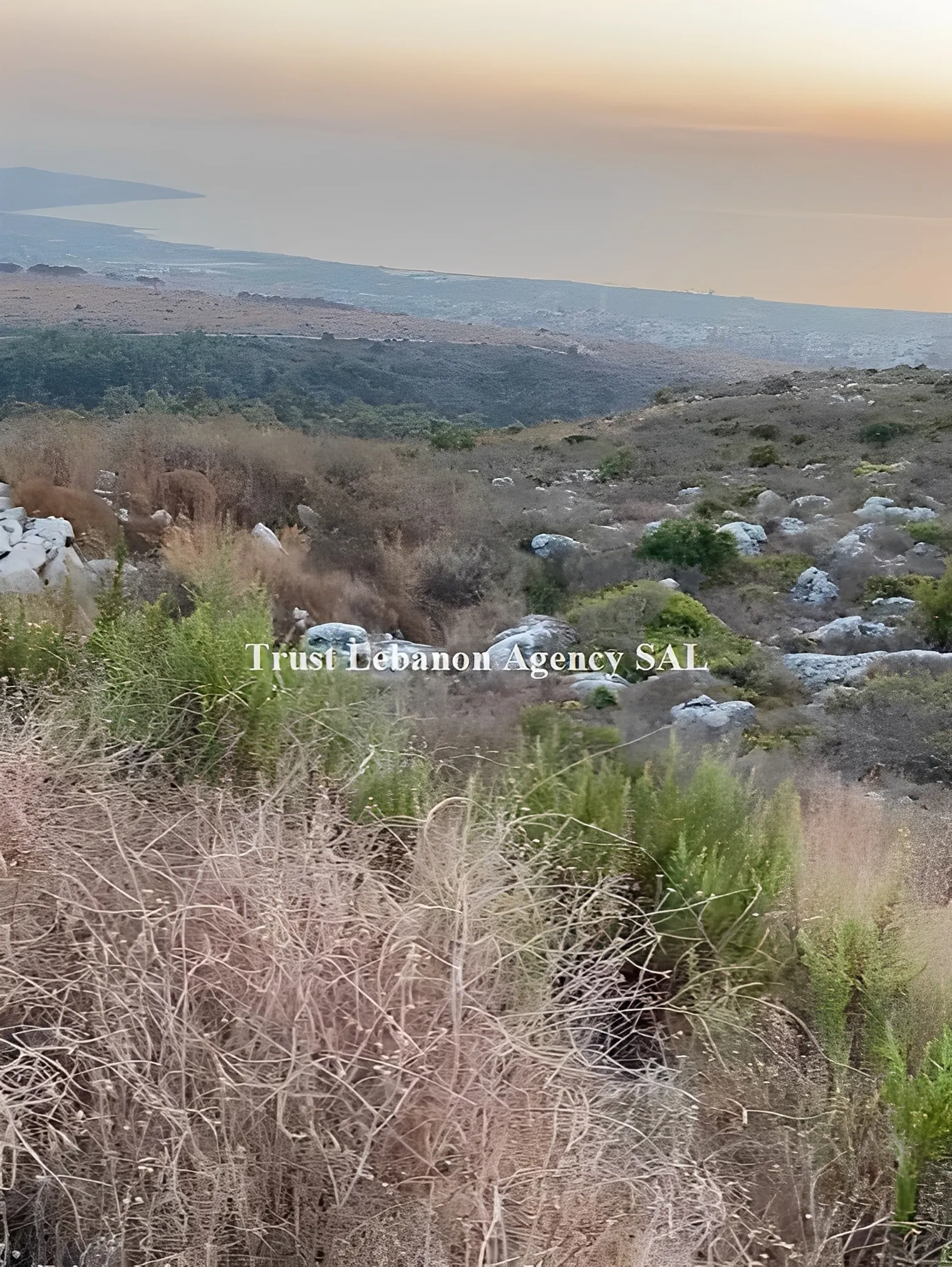 Land for Sale in Bawerta Alay