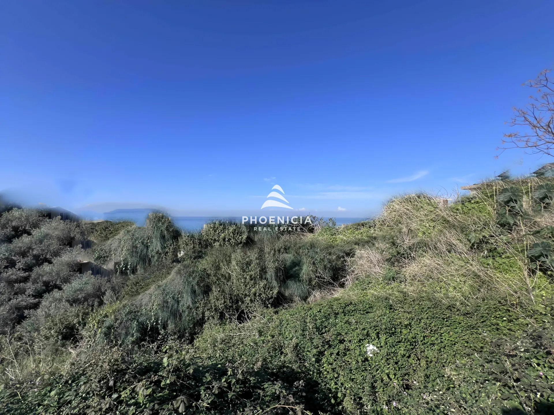 Land for Sale in Qartaboun