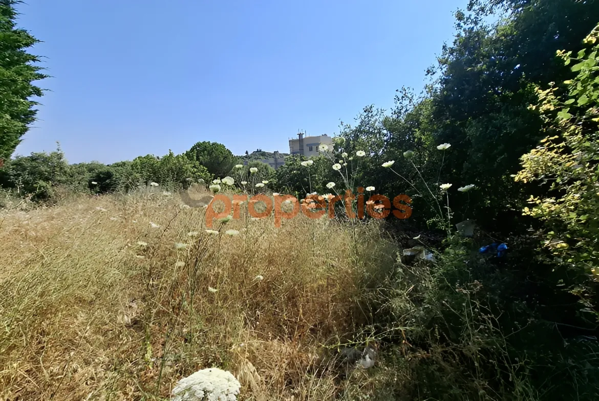 Residential Land for Sale in Safra