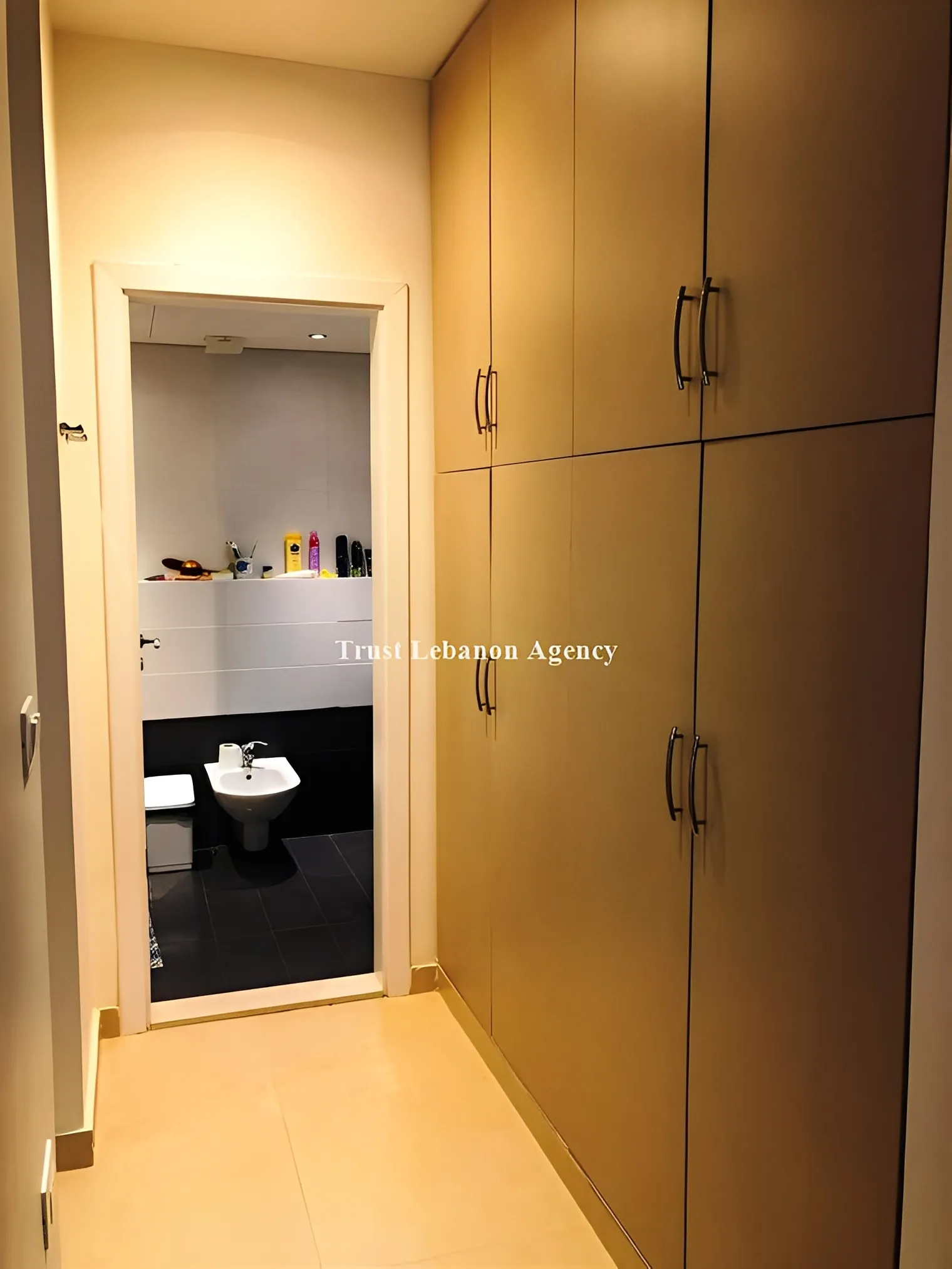 Apartment for Sale in Metn Ain saade Lebanon