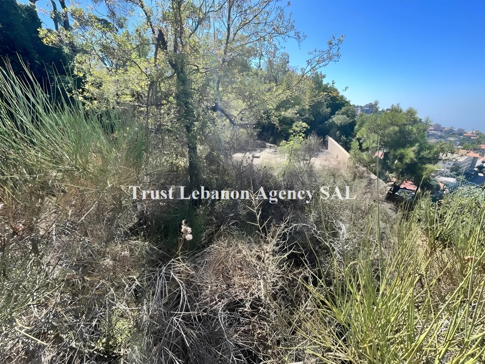 Land for Sale in Metn Bekfaya / Naas Lebanon