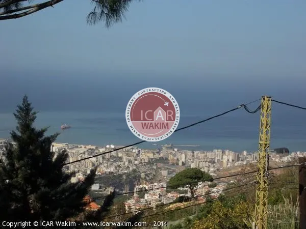 Villa for Sale in Ain Saadeh