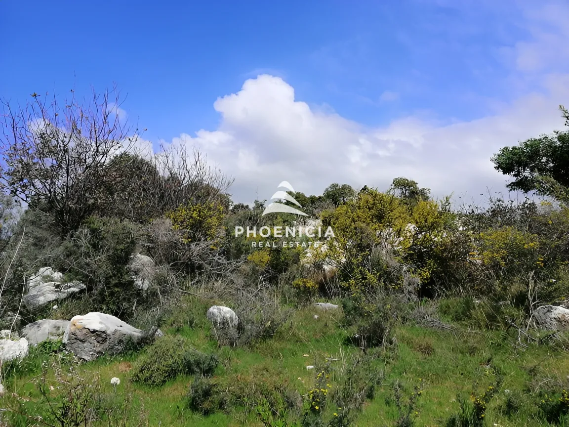 Land for sale in Chikhane, Jbeil, Lebanon
