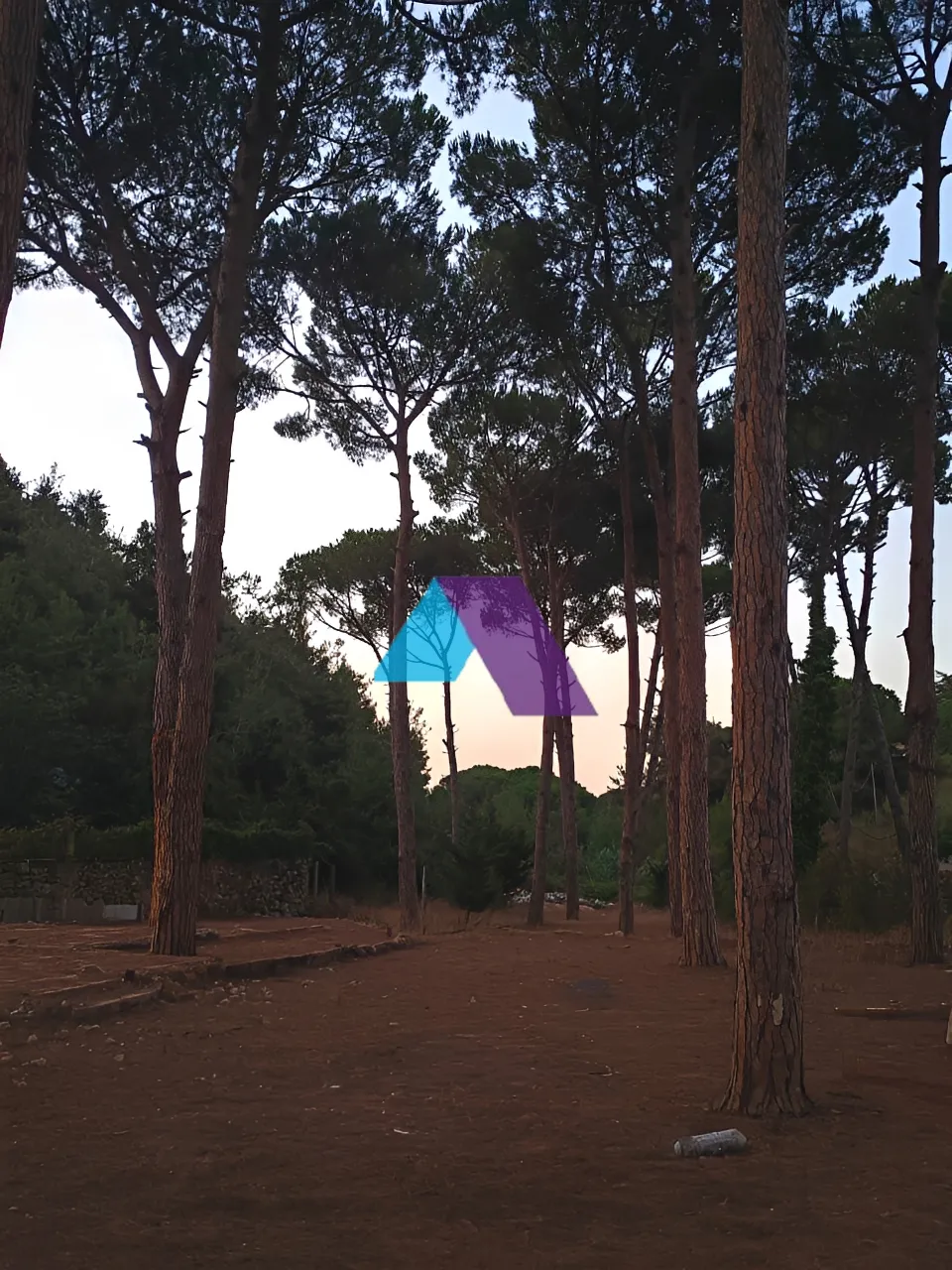 Land for Sale in Jouret El Ballout
