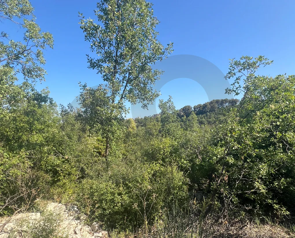 Land for Sale in Mechmech