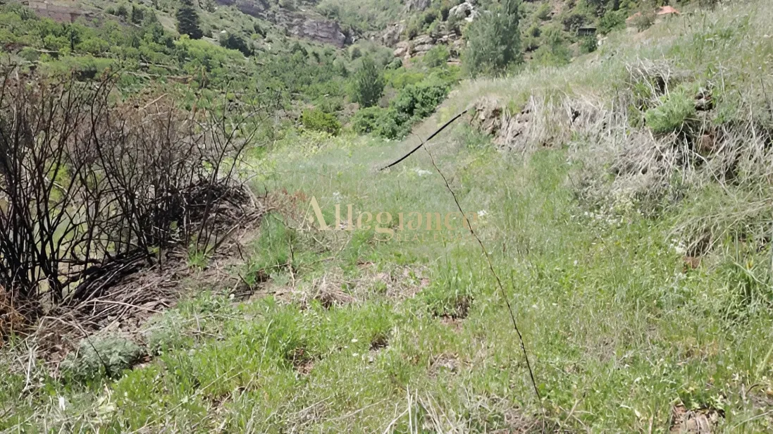 Residential Land for sale in Tannoura, Lebanon