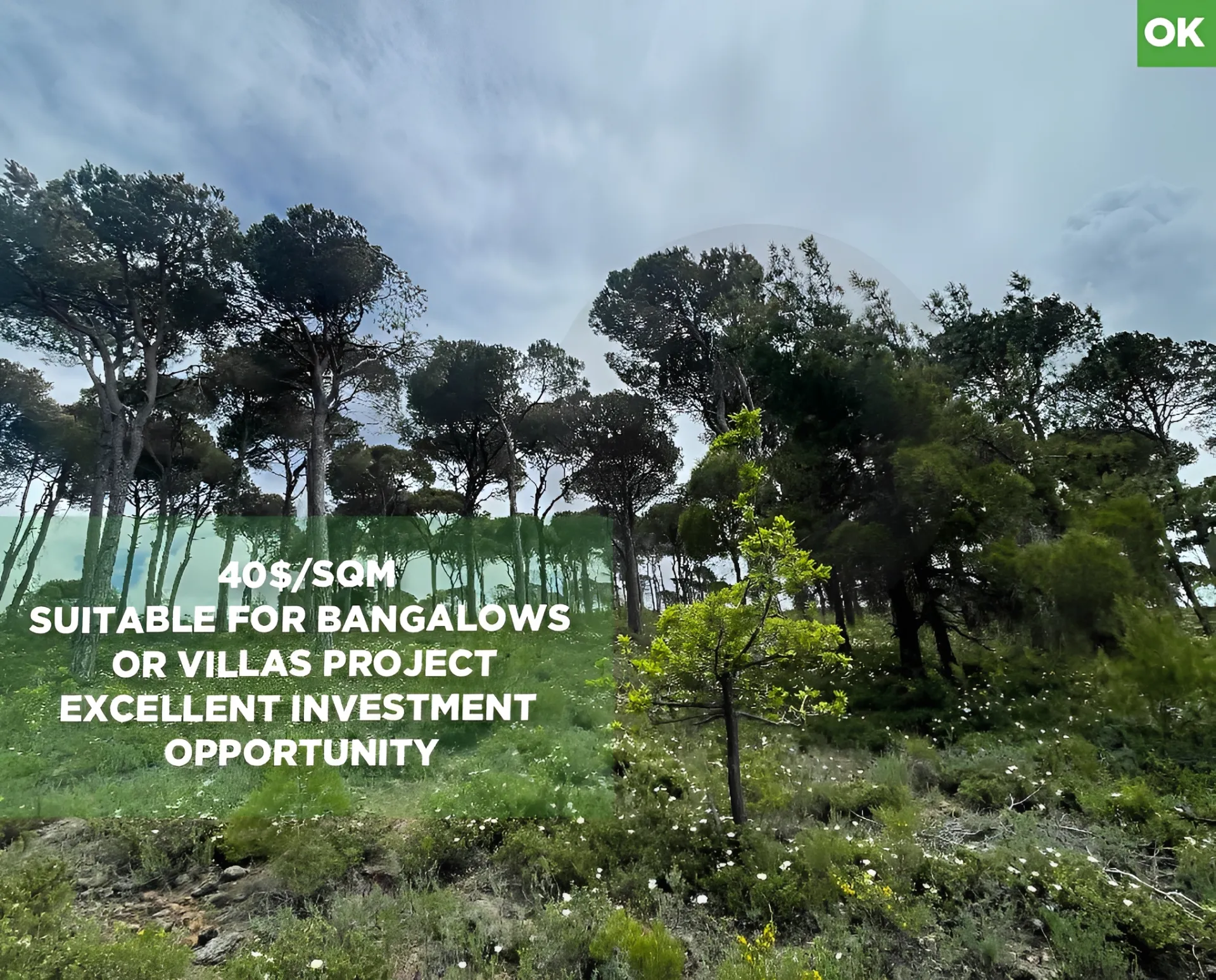 Land for Sale in Aley