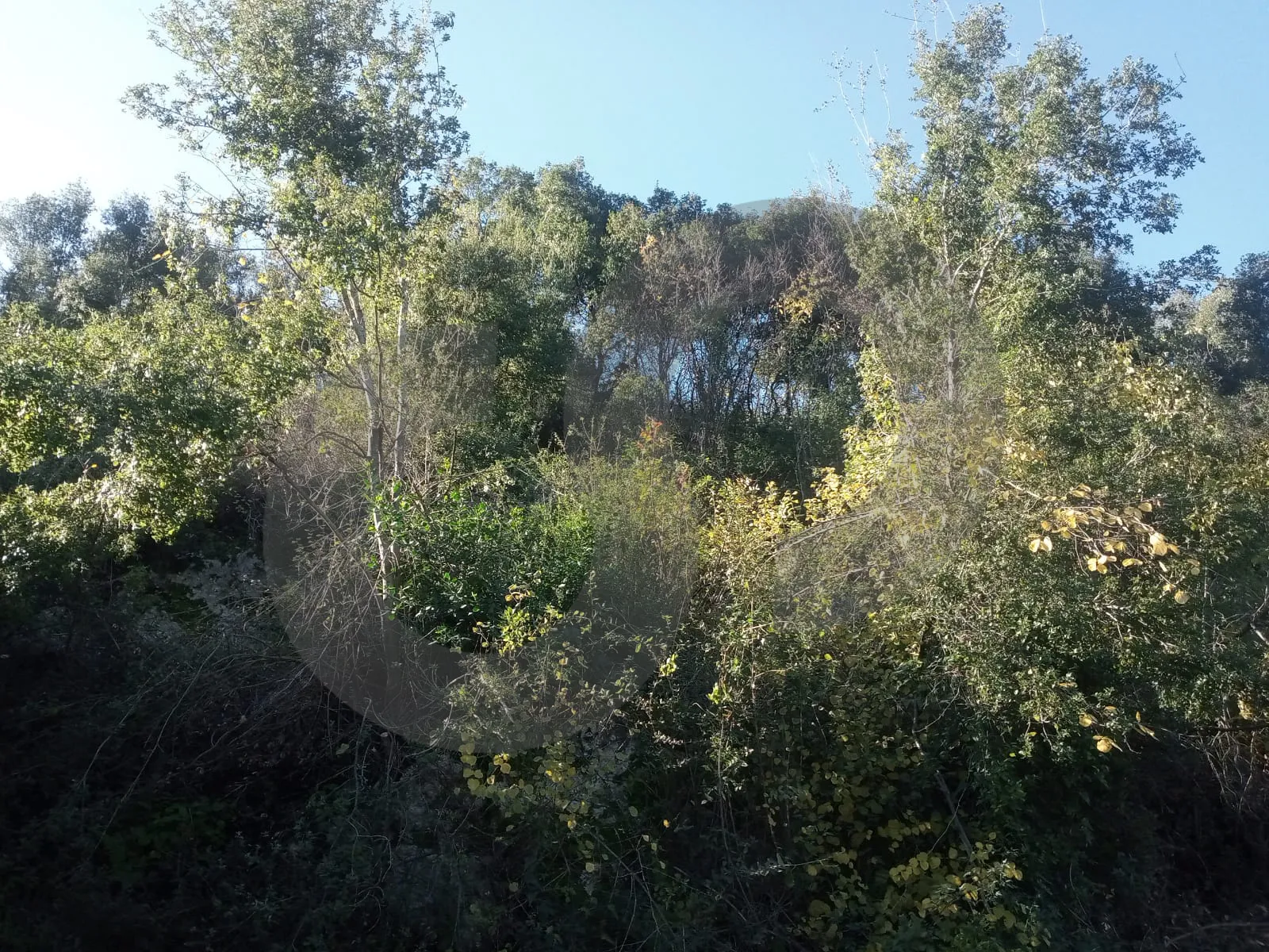 Land for Sale in Byblos
