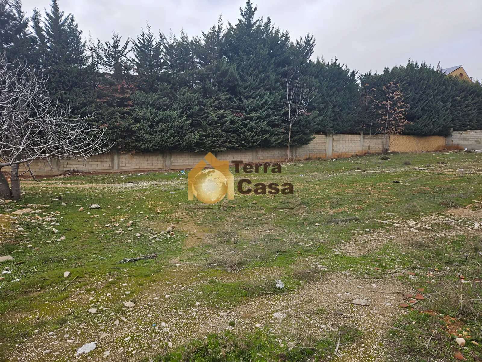 Land for Sale in Ksara