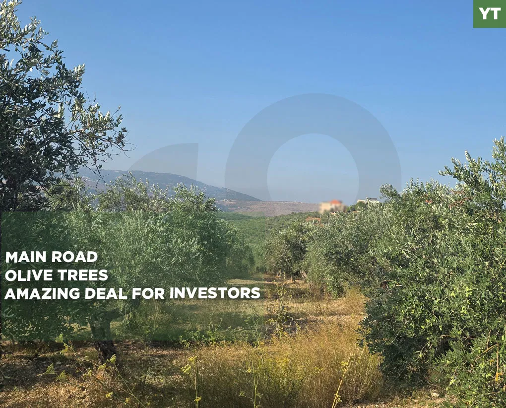 Land for Sale in Koura