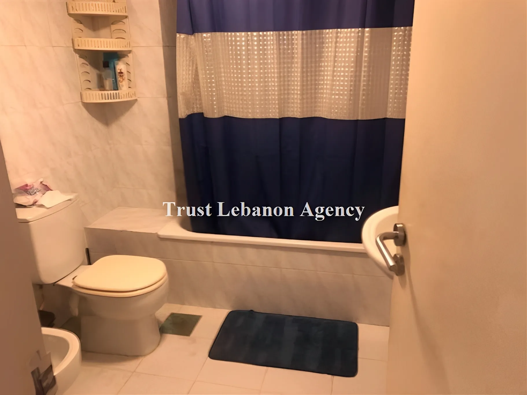 Villa for Sale in Metn Naccache Lebanon