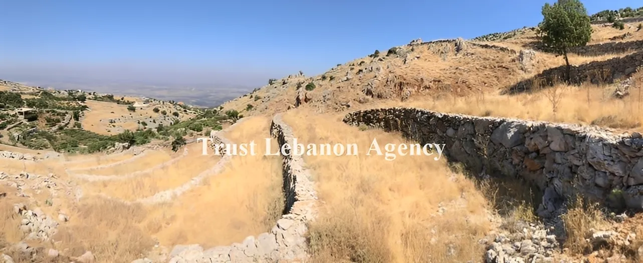 Land for Sale in Nabatiye